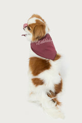 Sasha Bow Pet Bandana