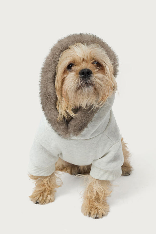 Faux Furry Pet Hoodie