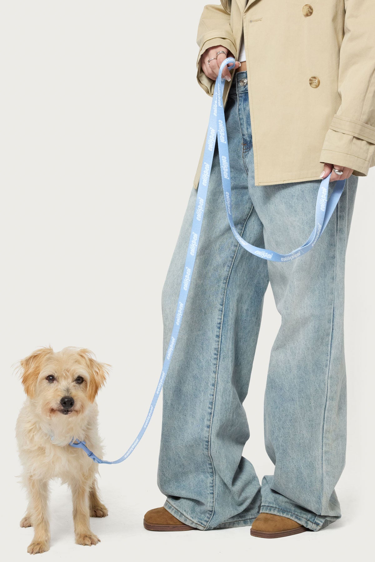 Edikted Pet Leash