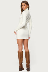 Turtle Neck Ribbed Knit Mini Dress