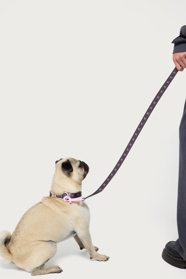 Bonney Bow Pet Leash