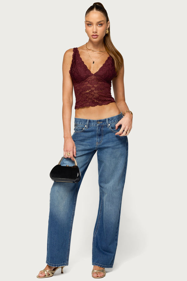 Vanya Sheer Lace V Neck Top view 2