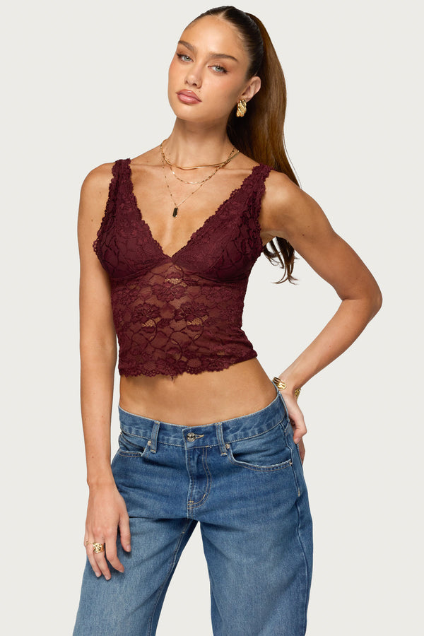 Vanya Sheer Lace V Neck Top view 1