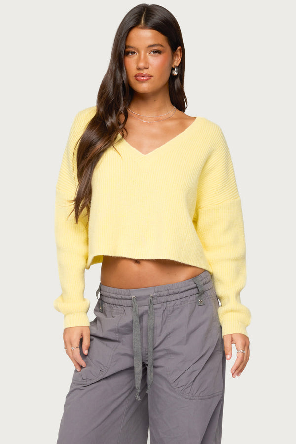 Aima V Neck Ribbed Knit Sweater