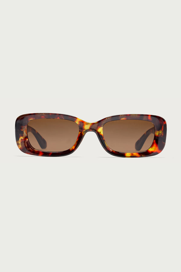 Jackson Square Sunglasses