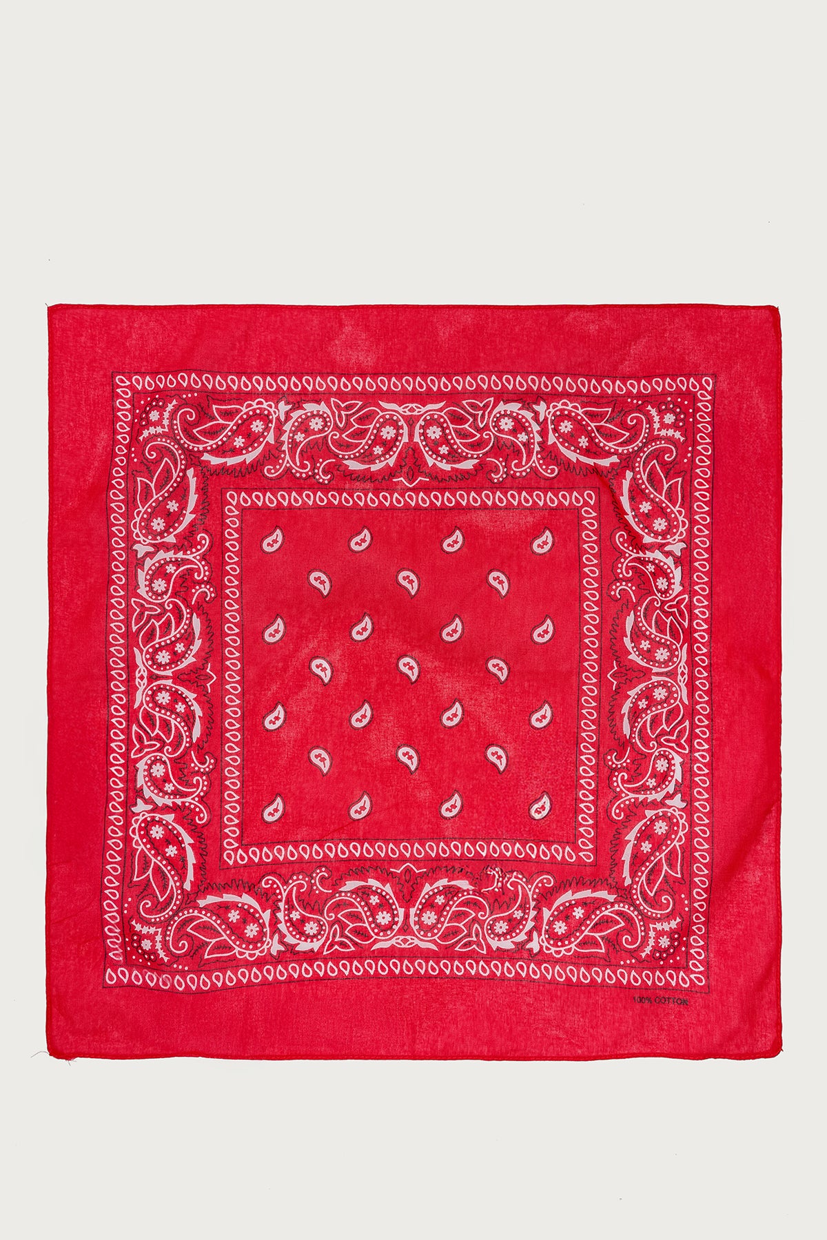 Rodeo Ready Bandana
