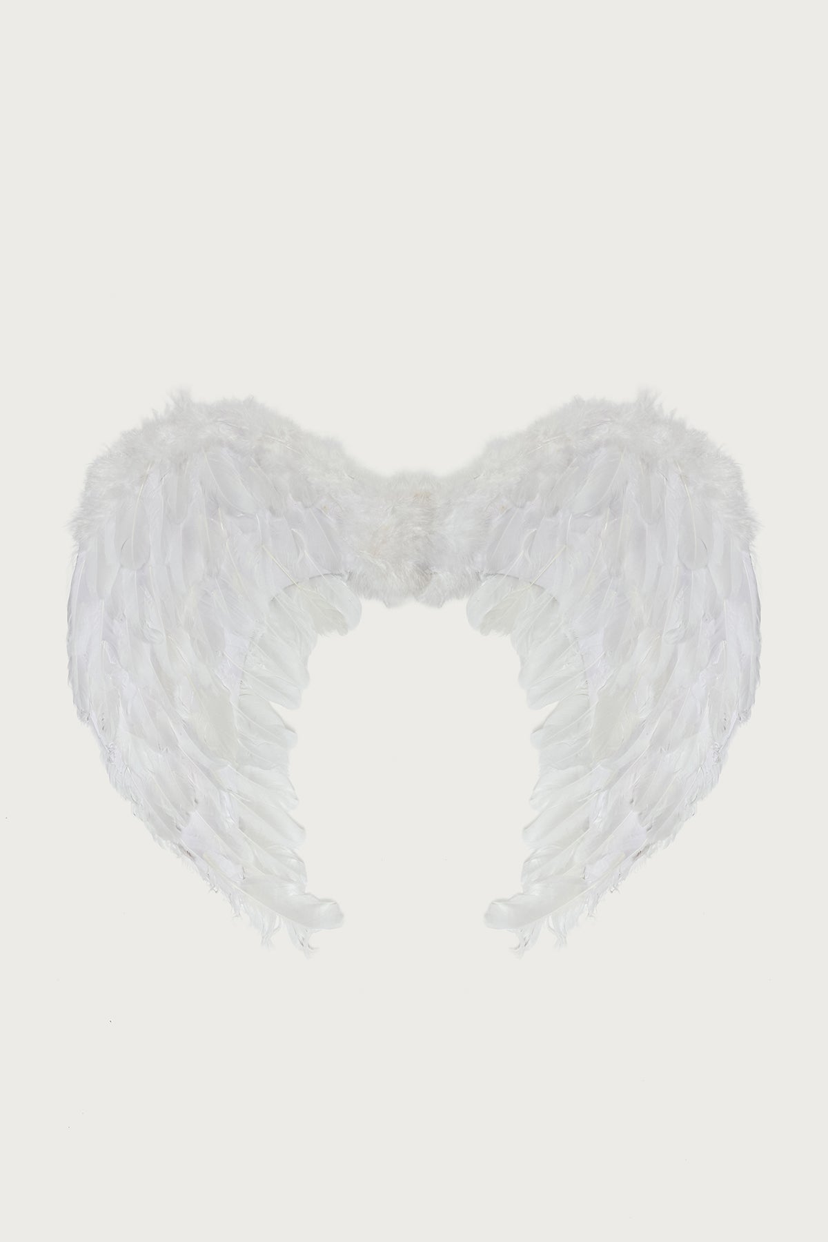 Fallen Angel Wings