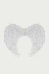 Fallen Angel Wings