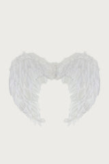 Fallen Angel Wings