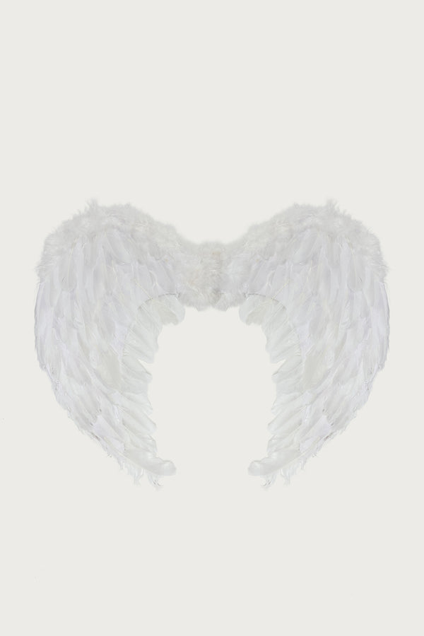 Fallen Angel Wings