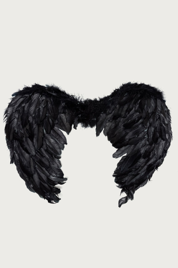 Fallen Angel Wings