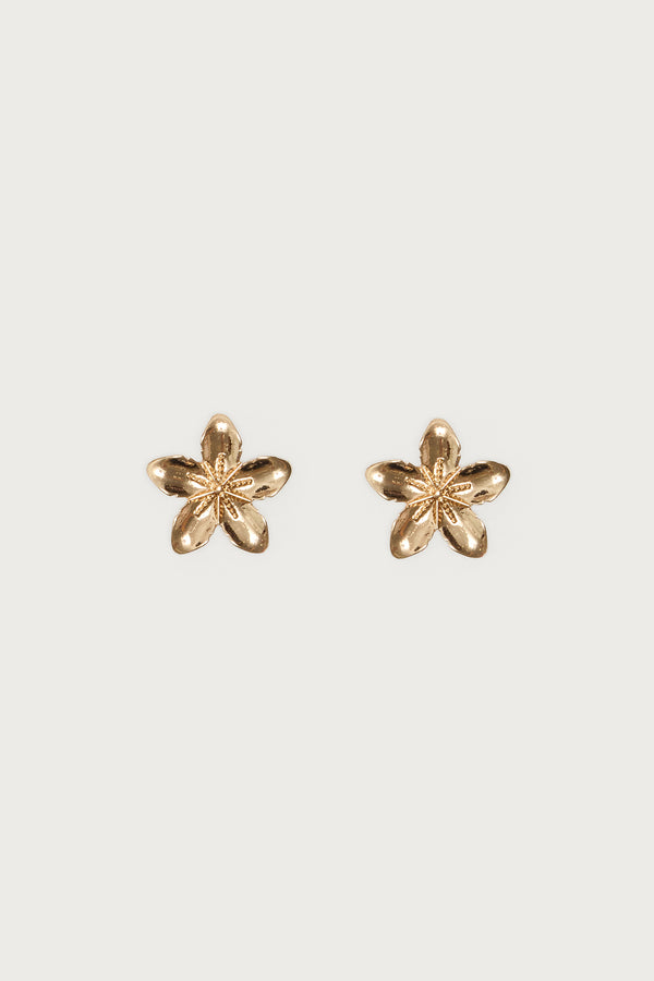 Tropical Fleur Stud Earrings