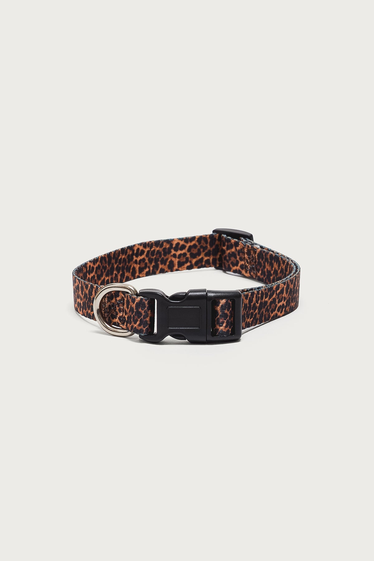 Leopard Print Pet Collar