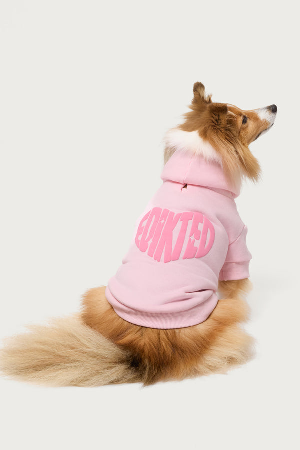 Major Love Edikted Pet Hoodie