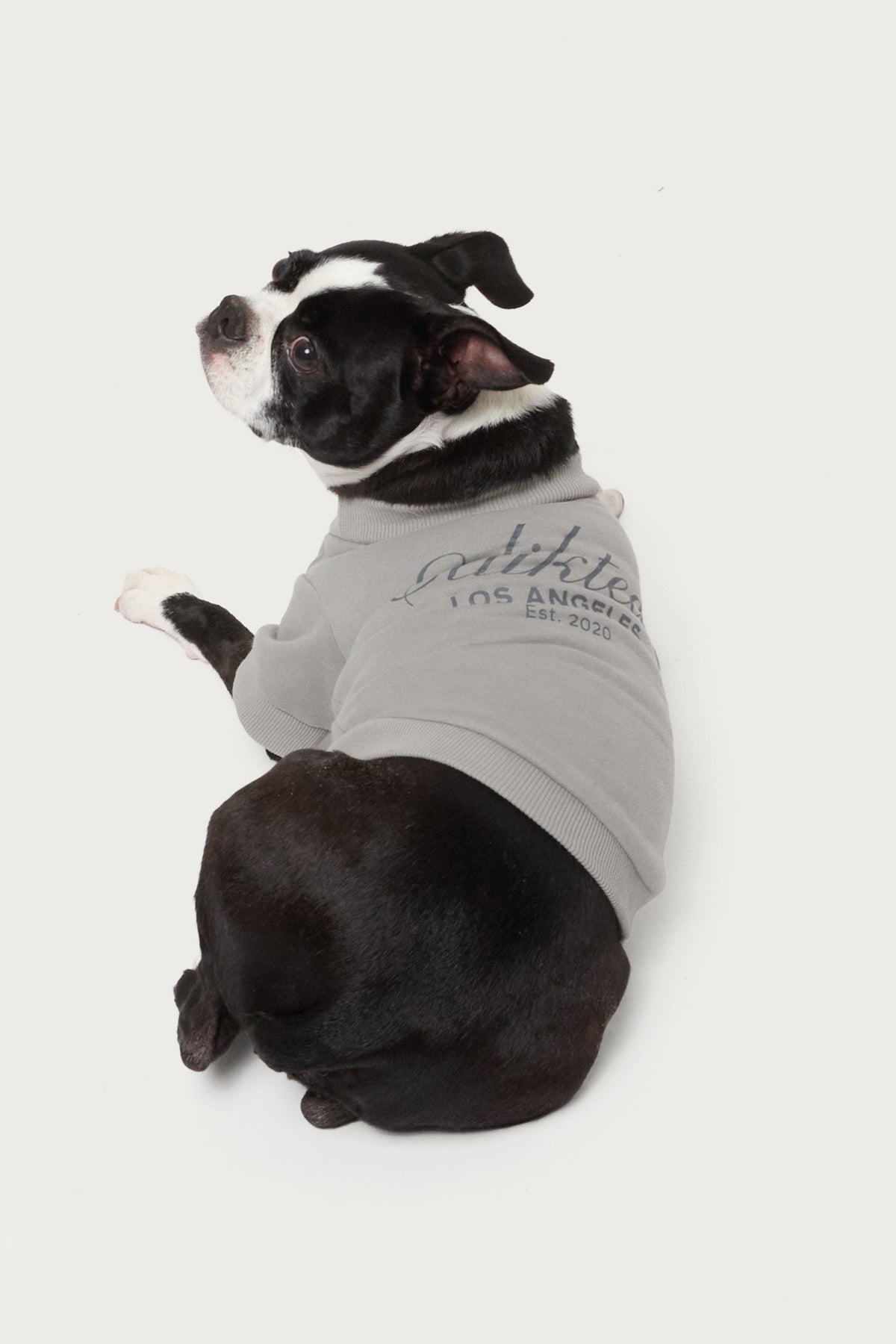 Get Edikted Pet Sweatshirt