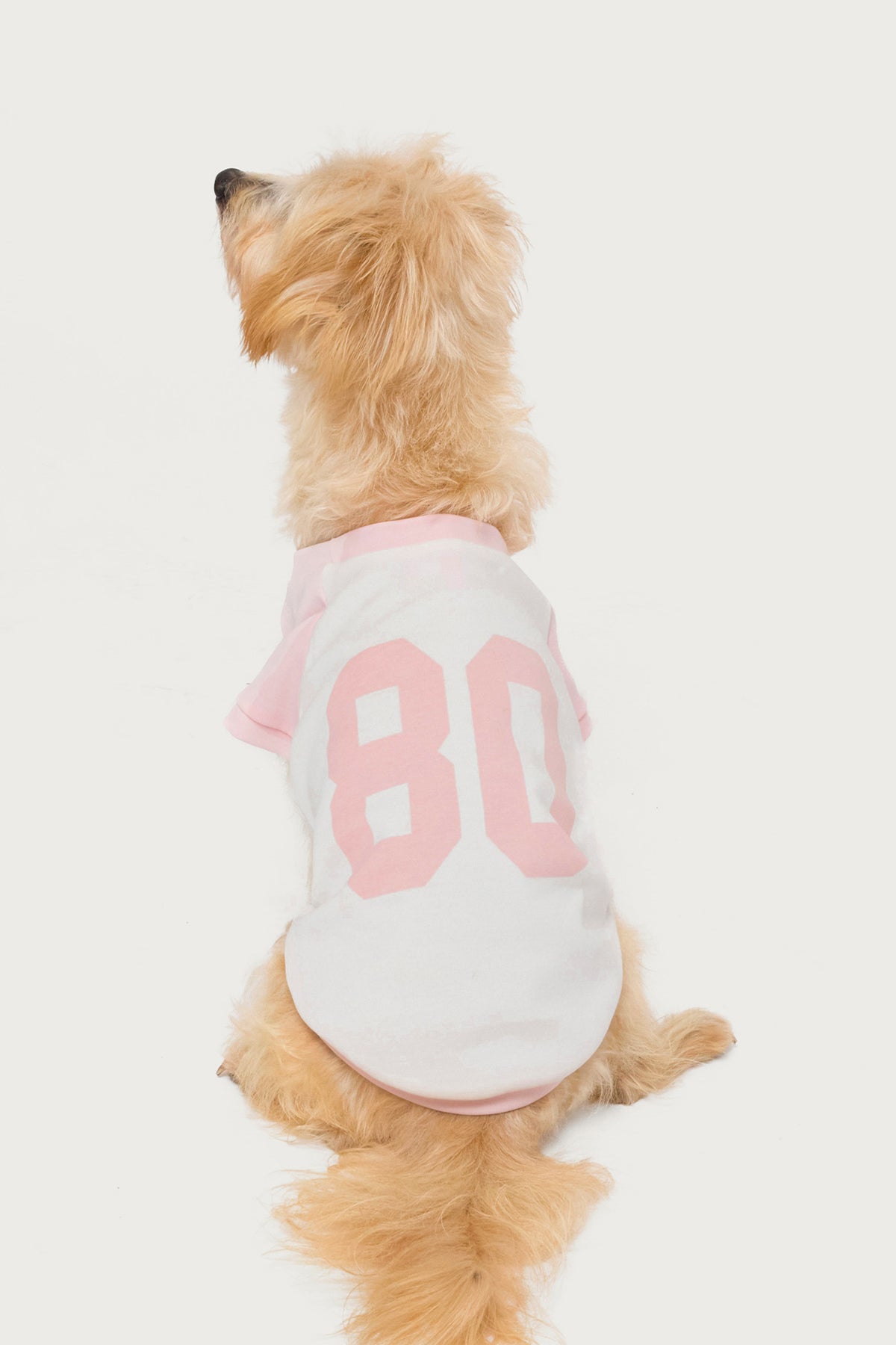 80's Raglan Pet T Shirt