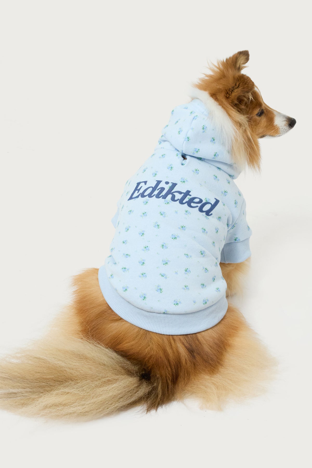 Flower Power Pet Hoodie – edikted