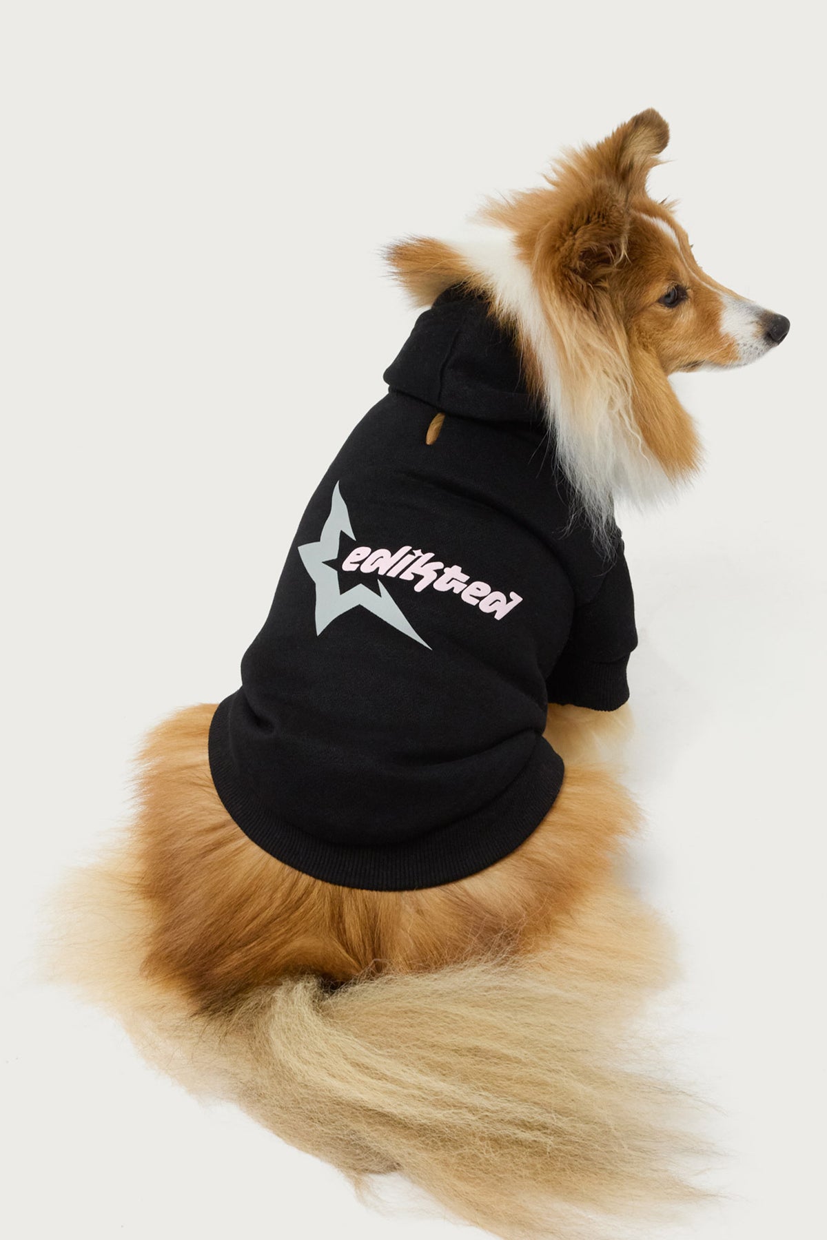 Edikted Star Pet Hoodie