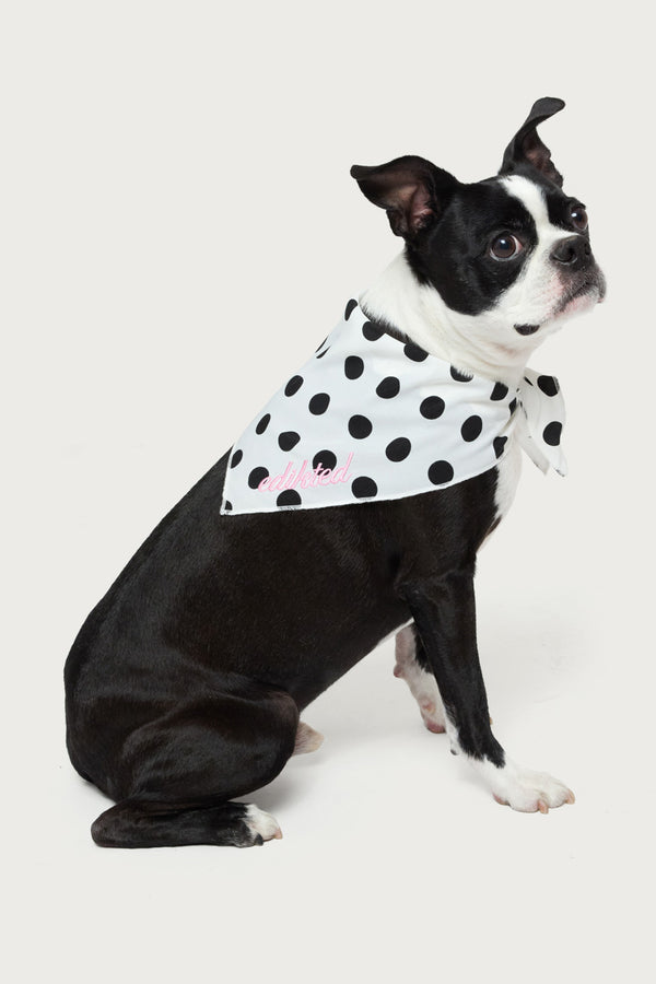 Pawka Dot Edikted Pet Bandana