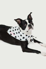 Pawka Dot Edikted Pet Bandana