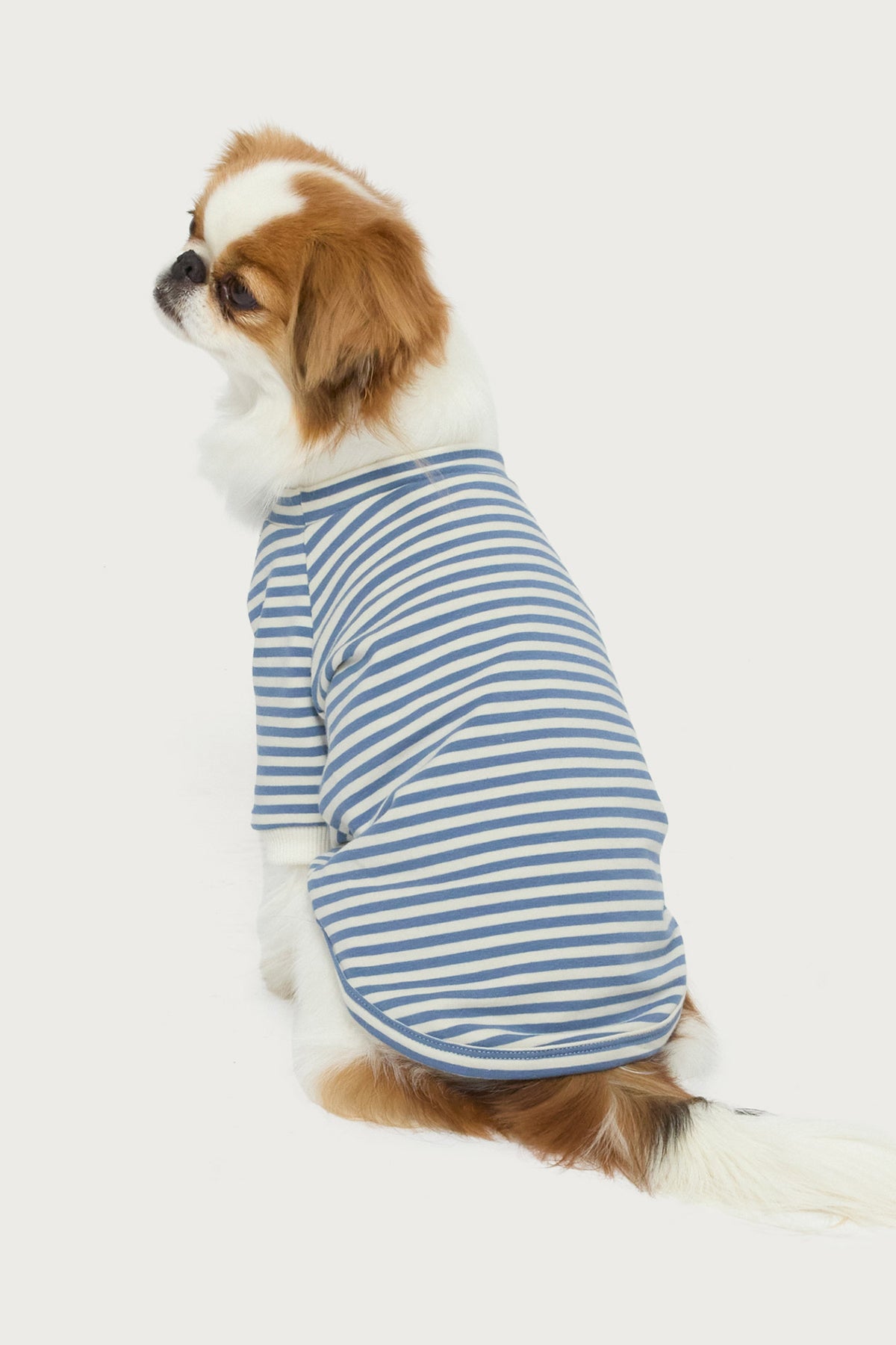 Lilah Striped Pet T Shirt