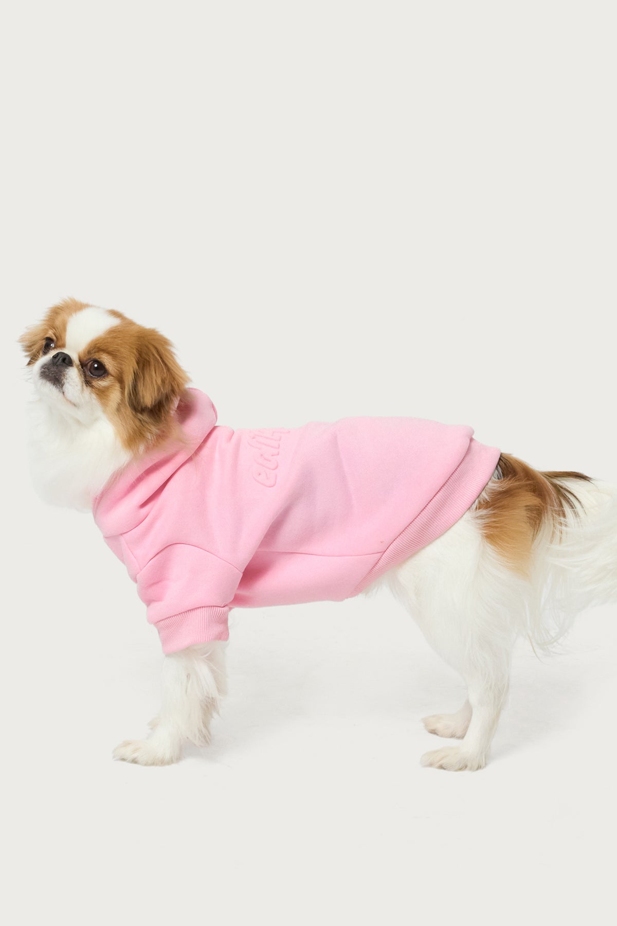 Totally Edikted Pet Hoodie