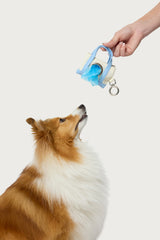 Tidy Tote Poop Bag Holder