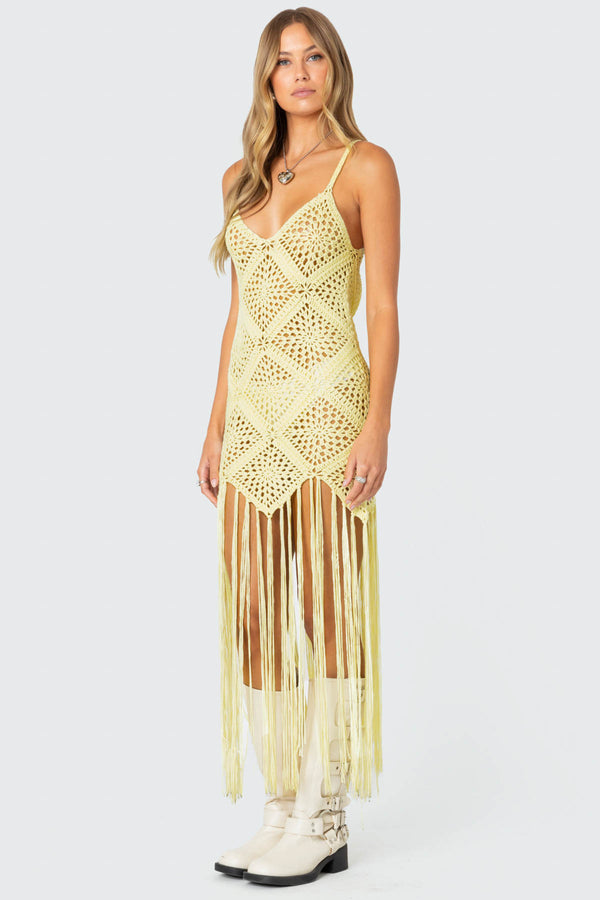 Fringey Crochet Maxi Dress