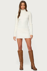 Turtle Neck Ribbed Knit Mini Dress
