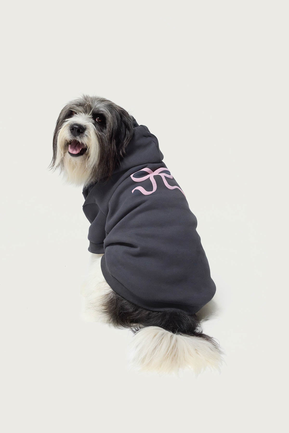 Bonney Bow Pet Hoodie – edikted