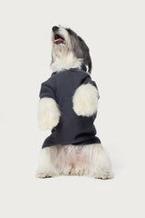 Bonney Bow Pet Hoodie