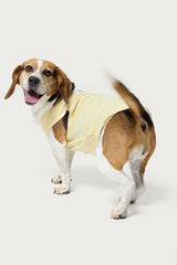 Pawfect Pet Tank Top