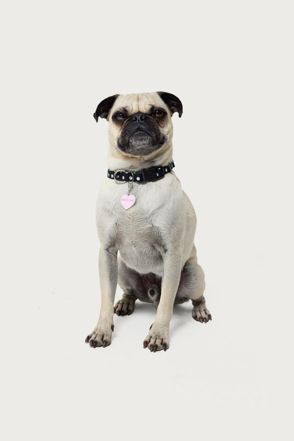 Bonney Bow Pet Bandana