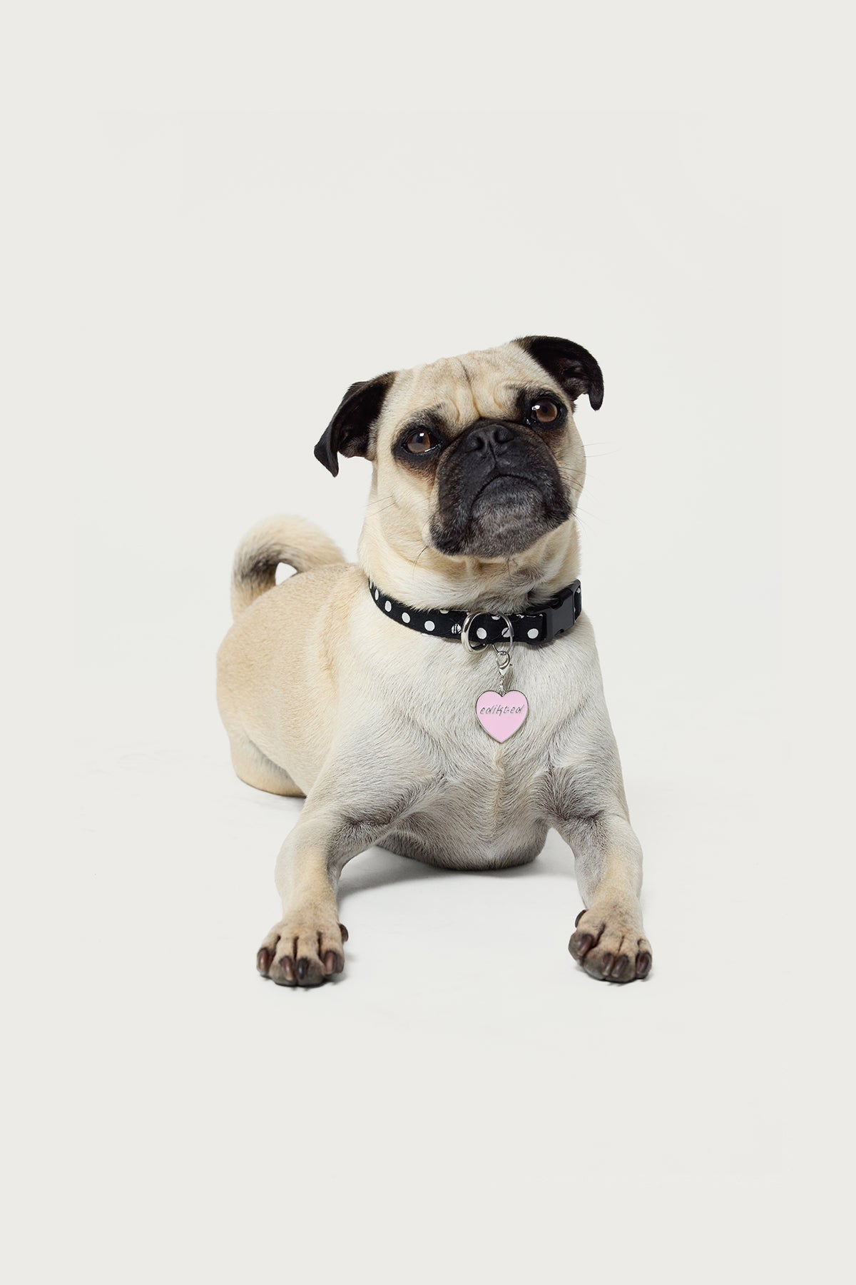 Heart Throb Collar Charm