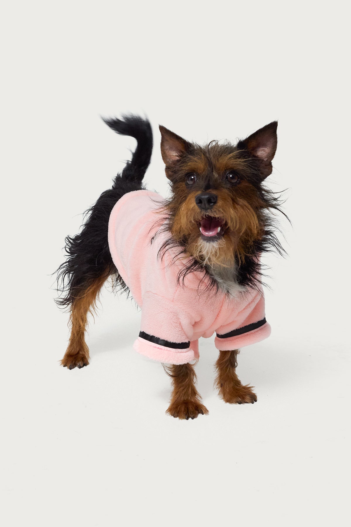 Snuggle Up Fuzzy Pet Robe – edikted