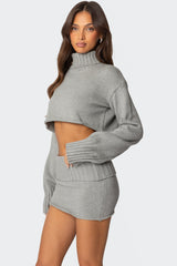 Gino Cropped Turtle Neck Sweater