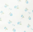 WHITE-AND-BLUE