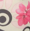 CREAM-AND-PINK
