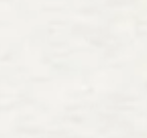 LIGHT-GRAY-MELANGE
