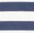 NAVY-AND-WHITE