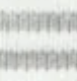 LIGHT-GRAY-MELANGE-AND-WHITE