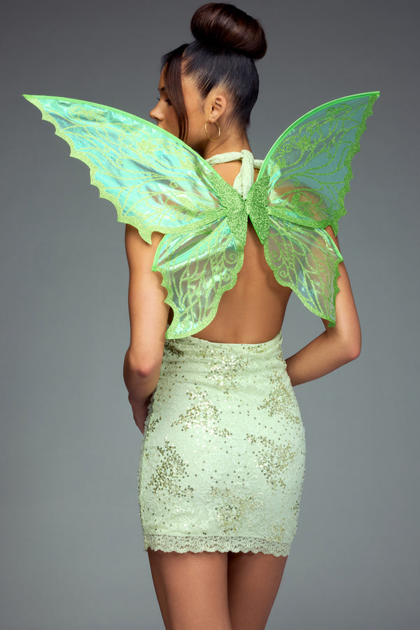 Enchanted Sheer Fairy Wings