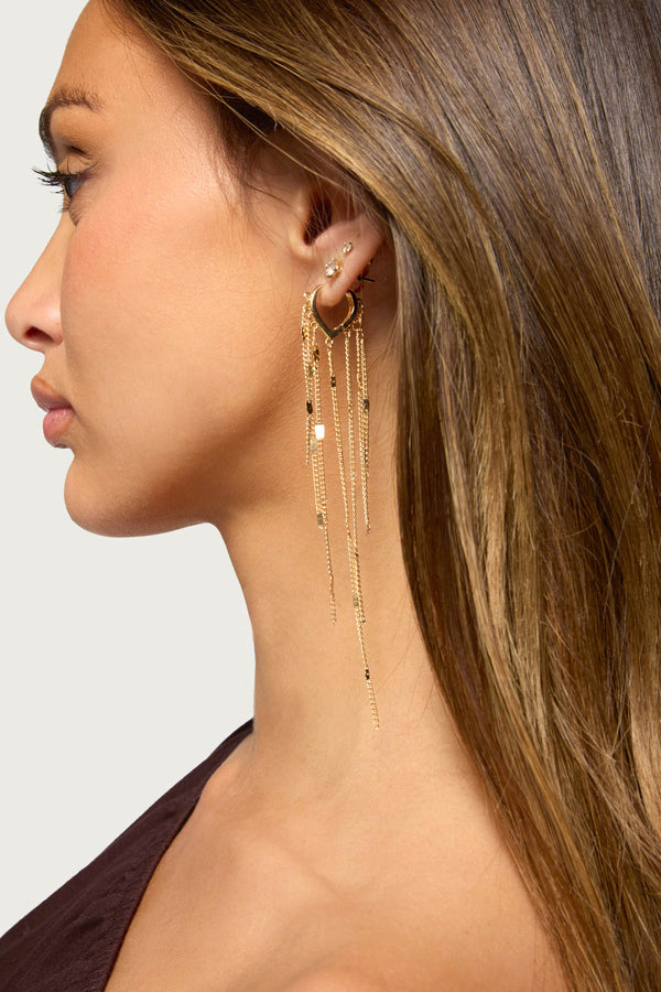 Tassle Earrings view 1